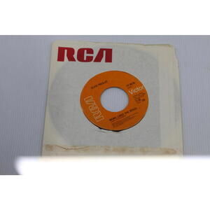 Elvis Presley 45 RPM Vinyl Records - Mama Liked The Roses / The Wonder Of You